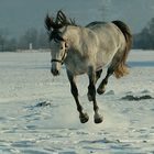 Spaß im Schnee mit Ronja