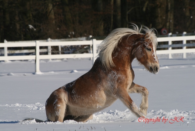 Spaß im Schnee2