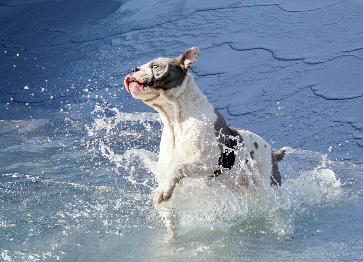 Spaß im Schwimmbad