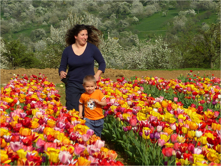 Spass im Tulpenfeld