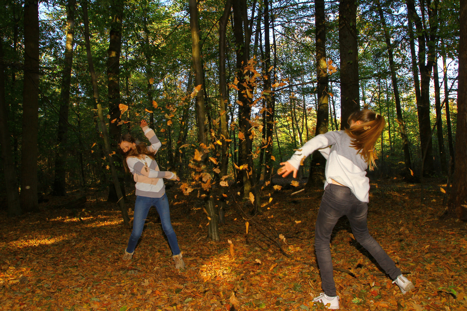 Spaß im Wald 