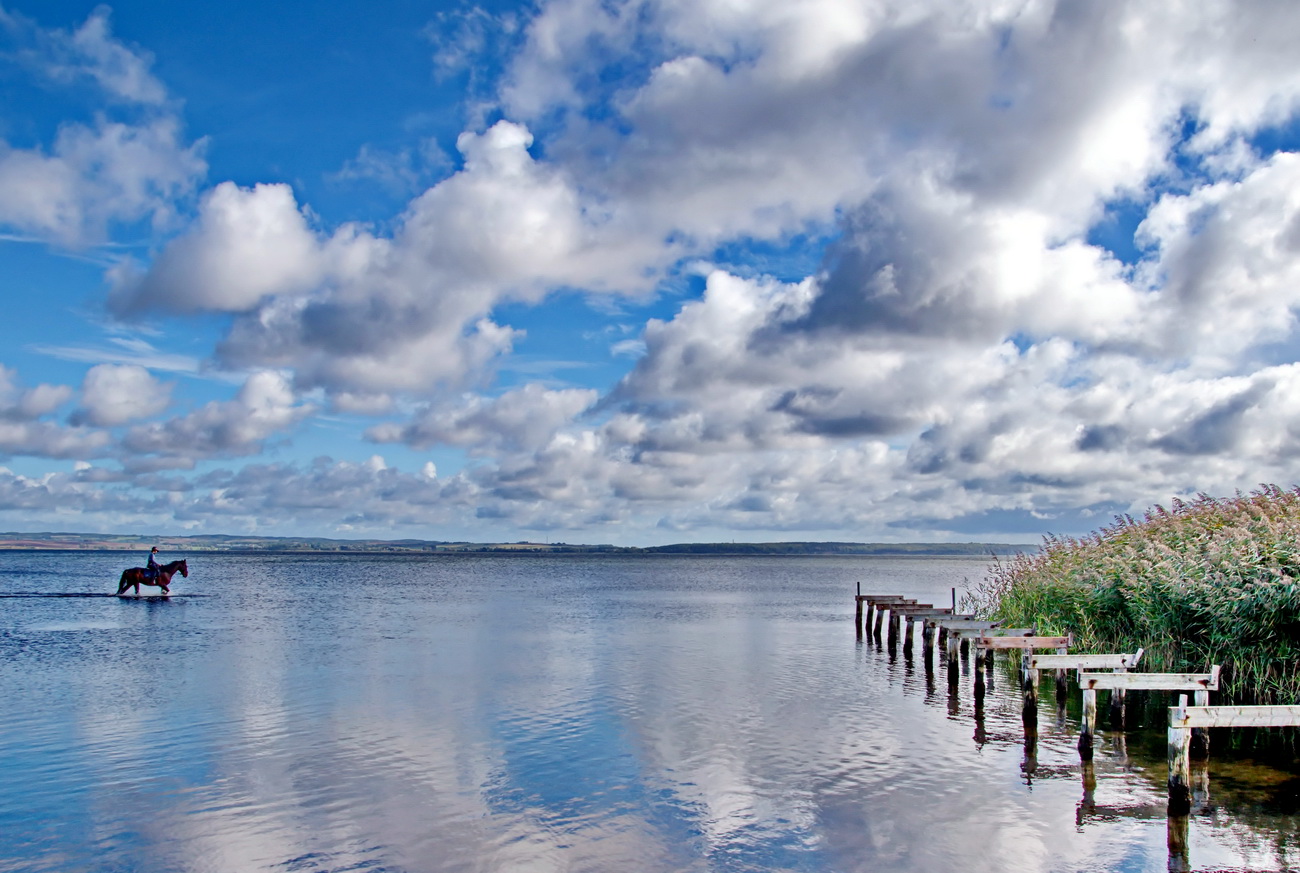 Spass im Wasser