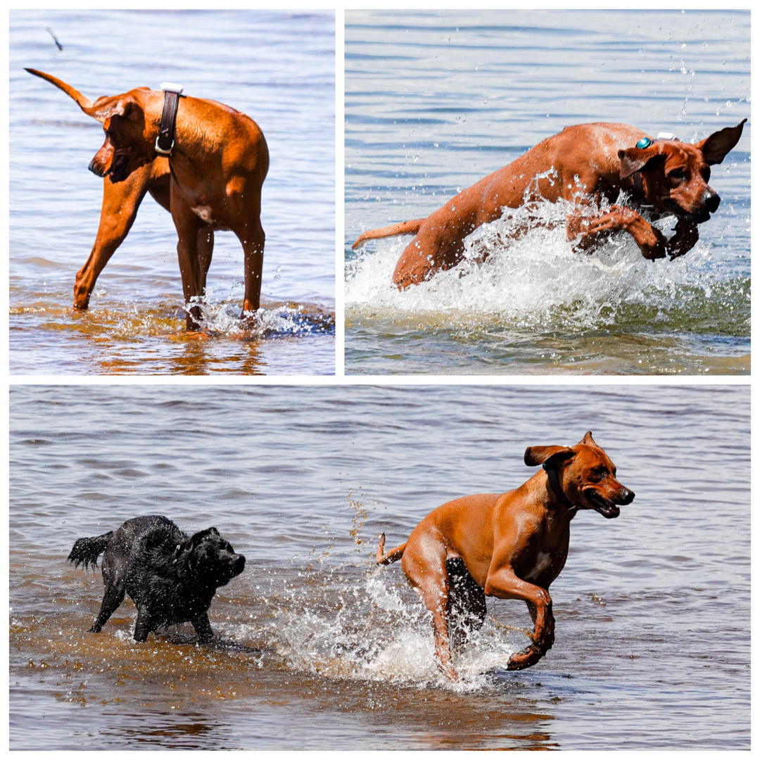 Spaß im Wasser....