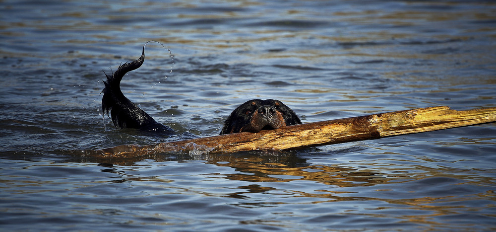 Spaß im Wasser