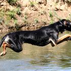 Spaß im Wasser