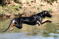 Spaß im Wasser