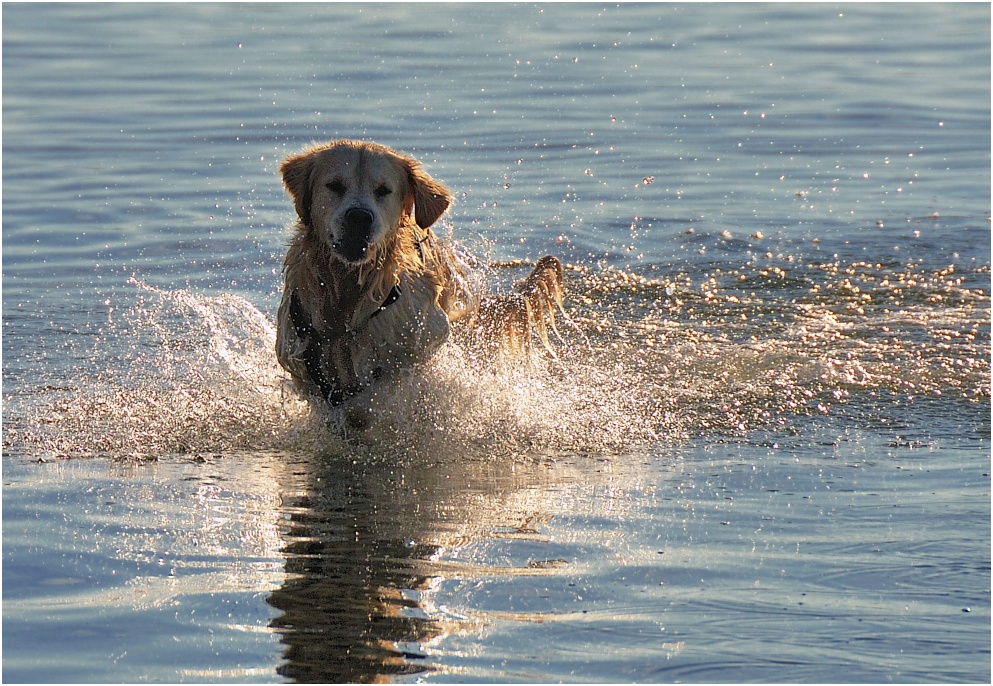 Spaß im Wasser...