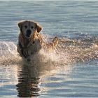 Spaß im Wasser...