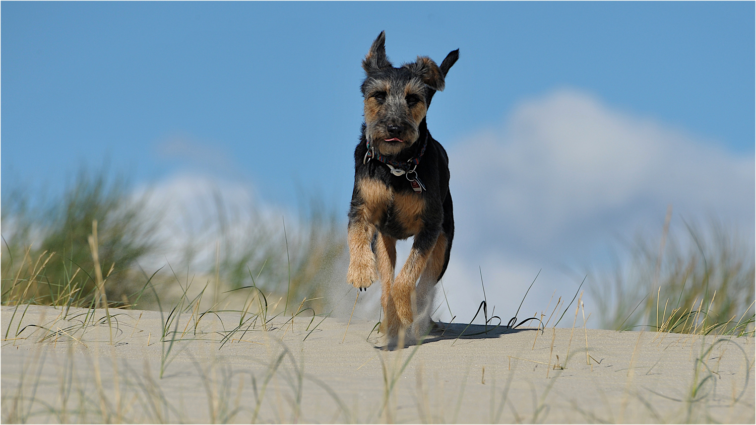 Spaß in den Dünen