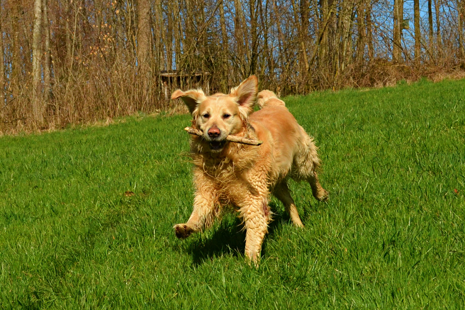 Spaß in der Sonne :)