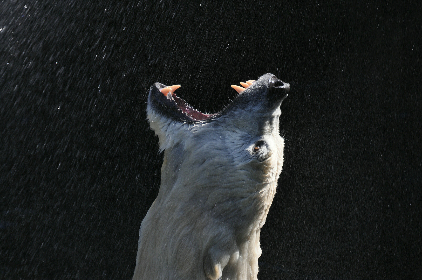 Spaß mit dem Wasser