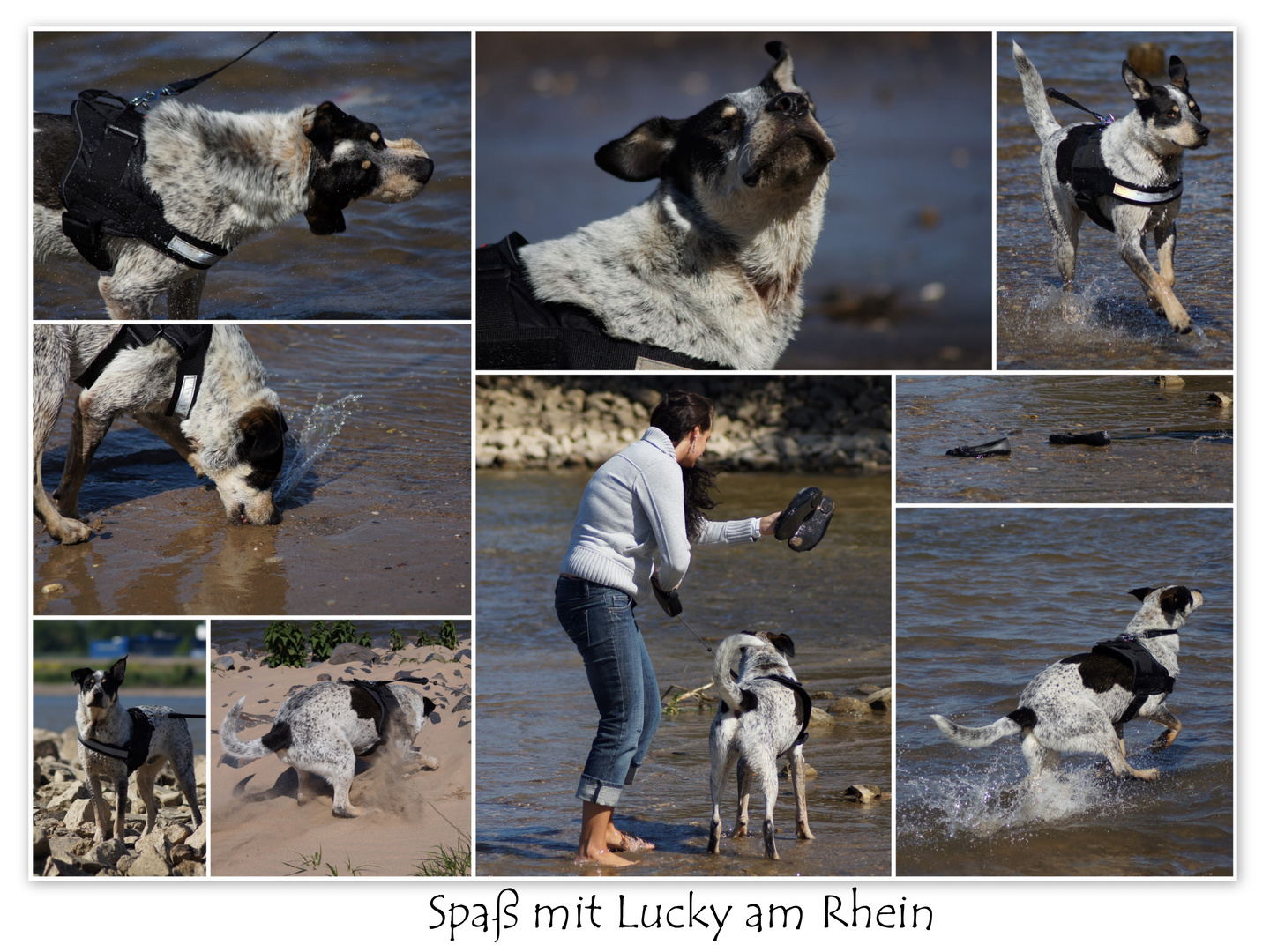 Spaß mit Lucky