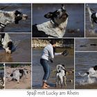 Spaß mit Lucky