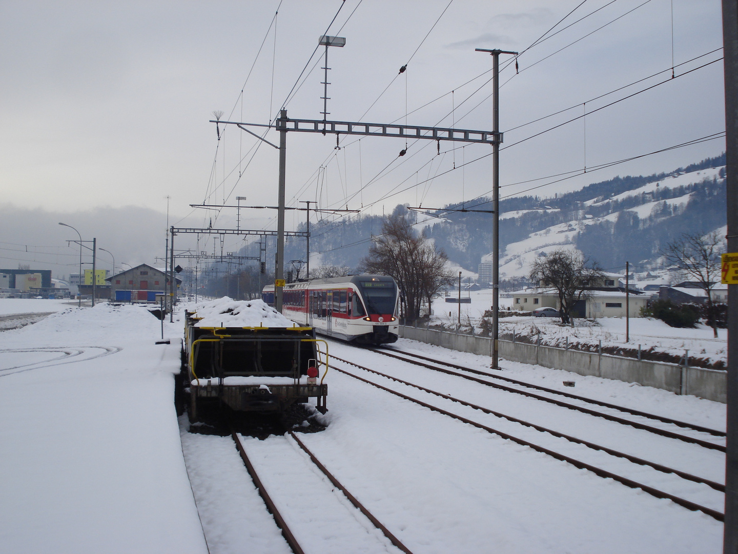 Spatz bei ehemaligem Bahnhof Kerns Kägiswil