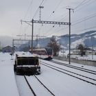 Spatz bei ehemaligem Bahnhof Kerns Kägiswil