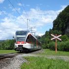 Spatz bei unbewachtem Bahnübergang in Kägiswil