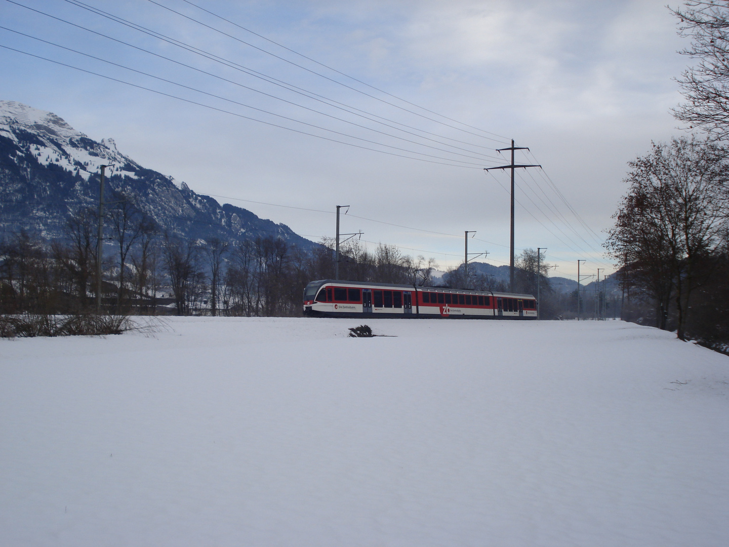 Spatz in Kägiswil im Schnee