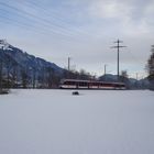 Spatz in Kägiswil im Schnee