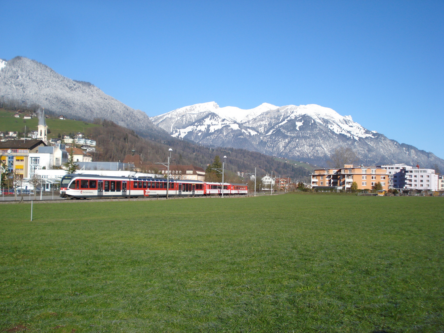 Spatz in Sarnen mit Sicht auf Pilatus