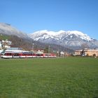 Spatz in Sarnen mit Sicht auf Pilatus