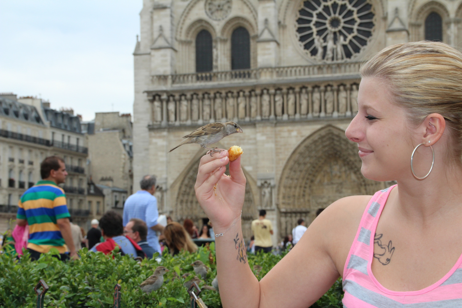 Spatzen füttern in Paris vor der Cathedralé de Notre Dame