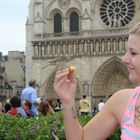 Spatzen füttern in Paris vor der Cathedralé de Notre Dame