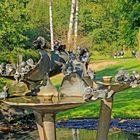 Spatzen im Skulpturenpark Klute-Waldemai in Schmallenberg-Niedersorpe