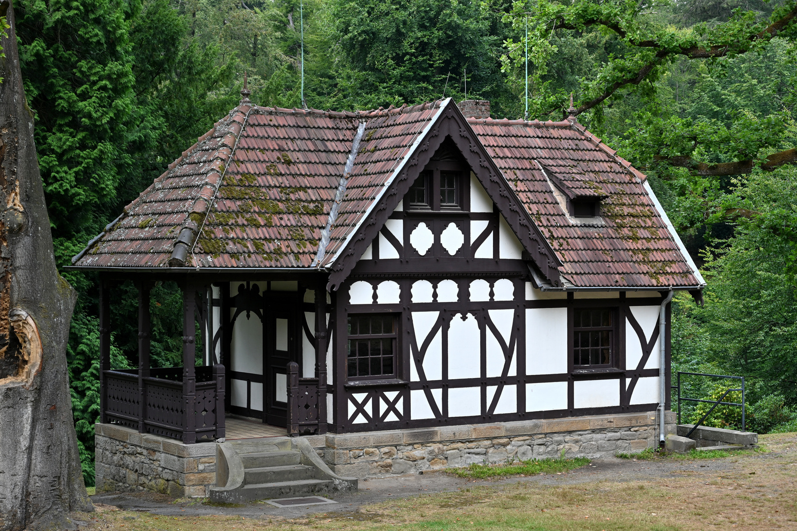 Spatzenhaus 