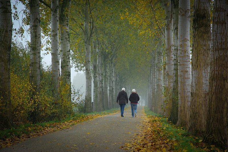 Spatziern morgens frum in nebel