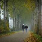 Spatziern morgens frum in nebel