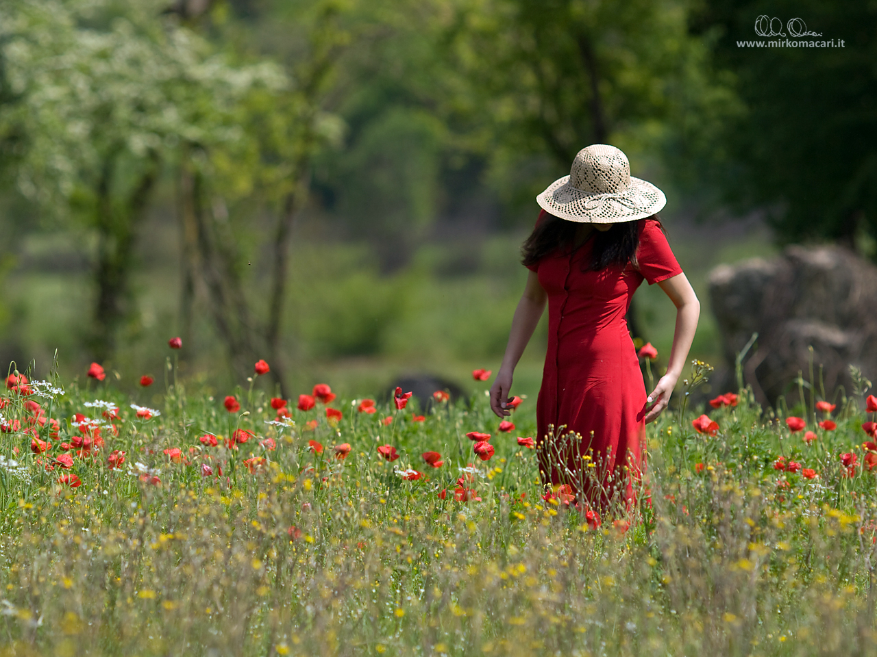 Spaventapasseri rosso