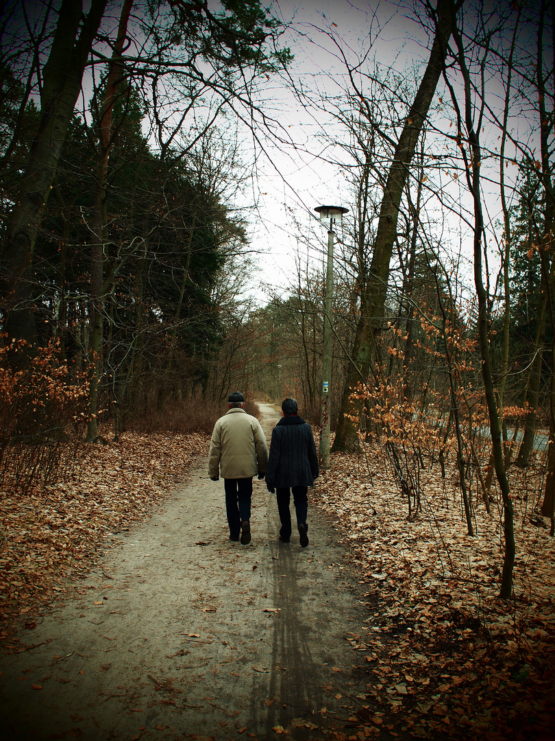 Spazieränger im Winter