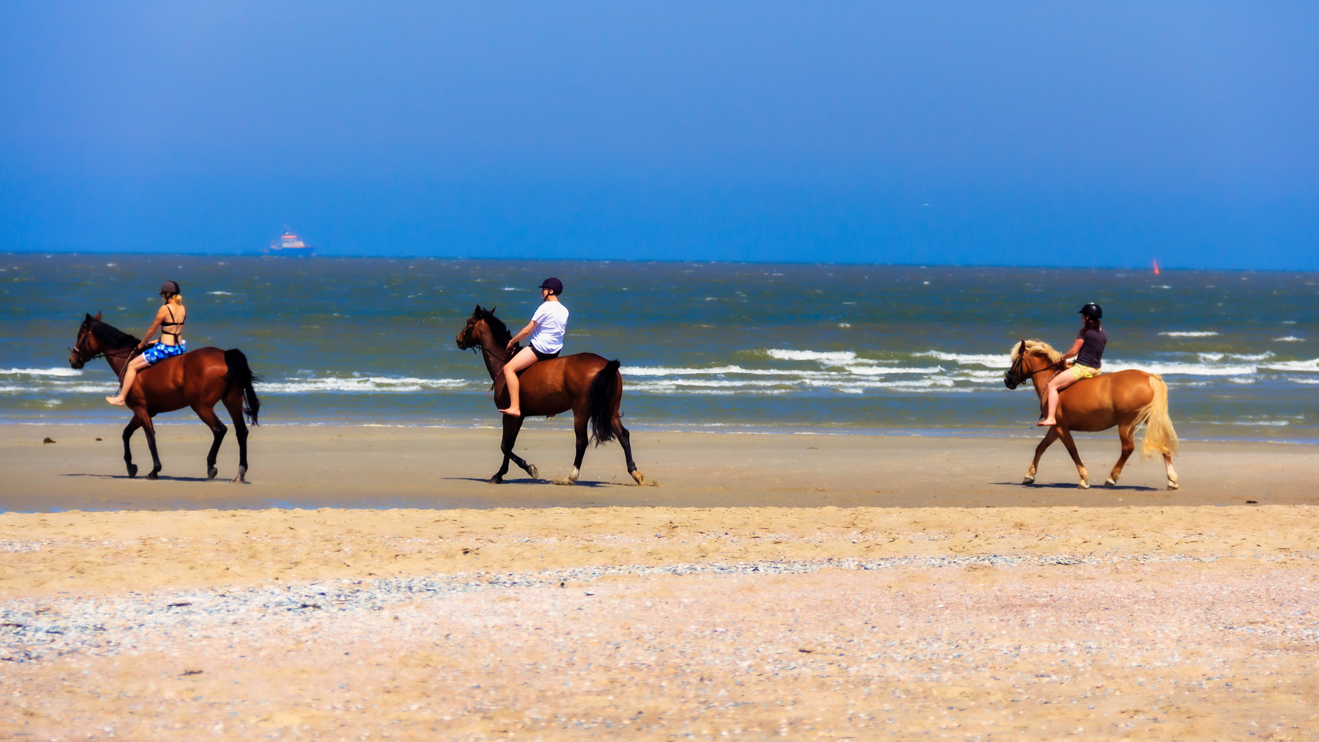 Spazieren am Strand