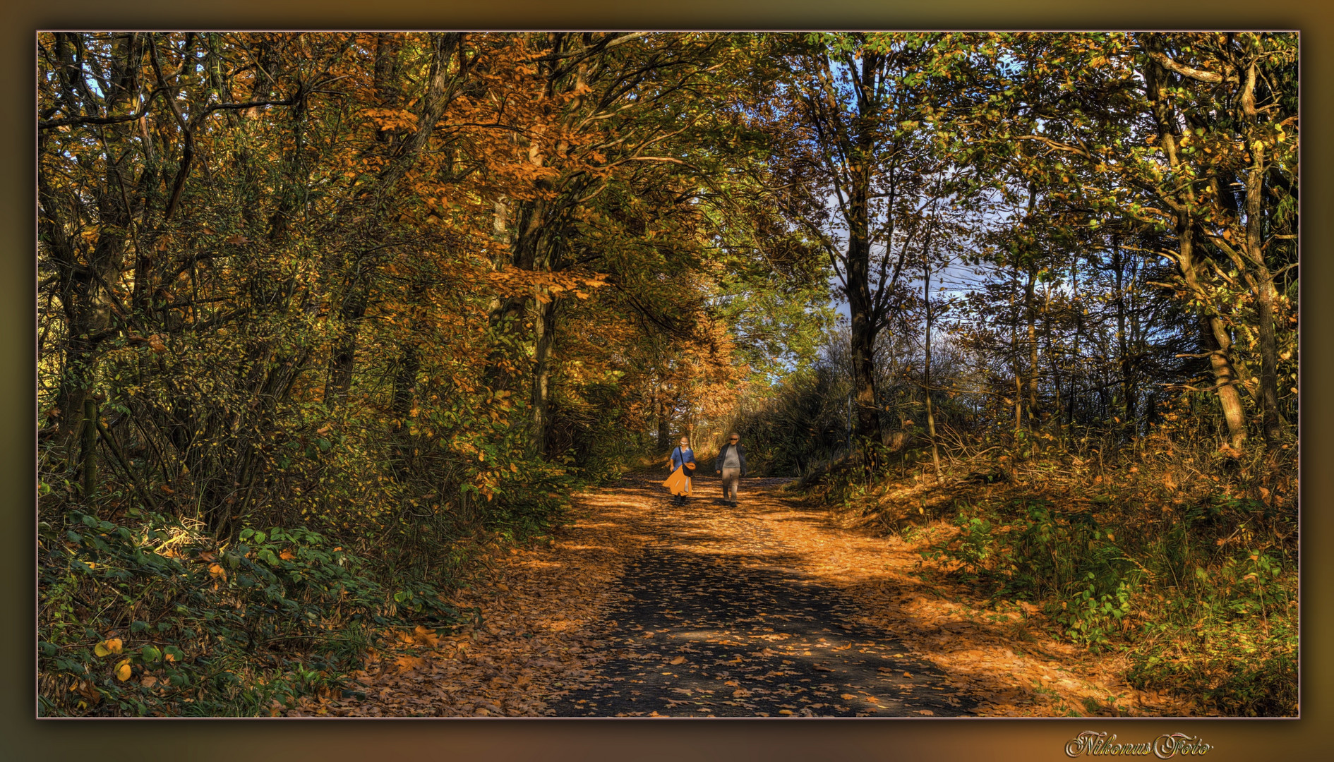 spazieren gehen im Herbstwald