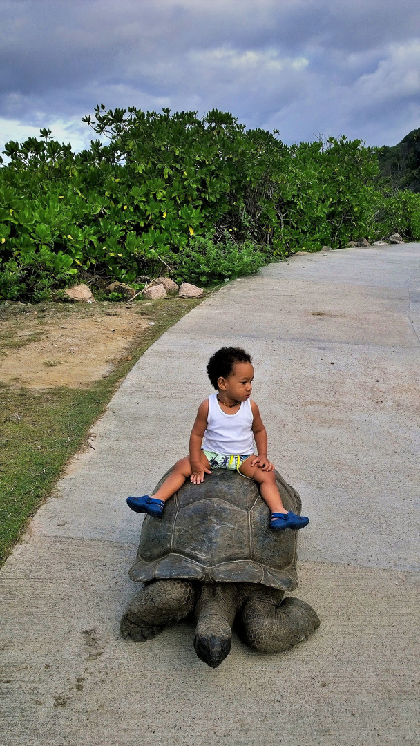 spazieren gehen (Seychellen)