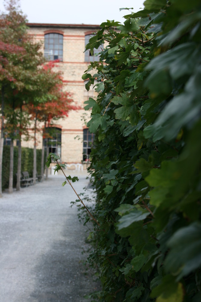 spazieren im alten fabrikareal