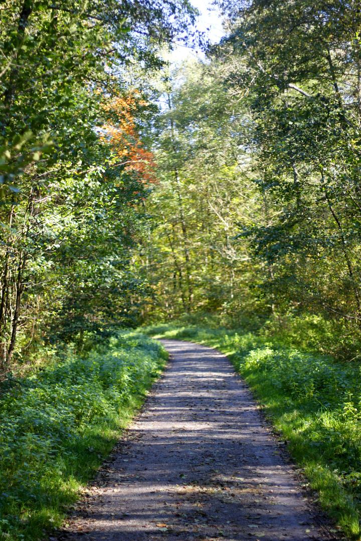 Spazieren im Herbst