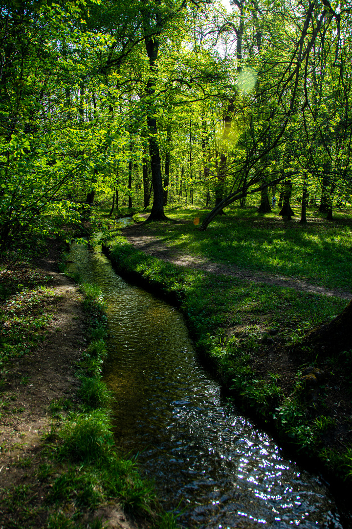 Spazieren im Nymphenburger Park