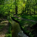 Spazieren im Nymphenburger Park