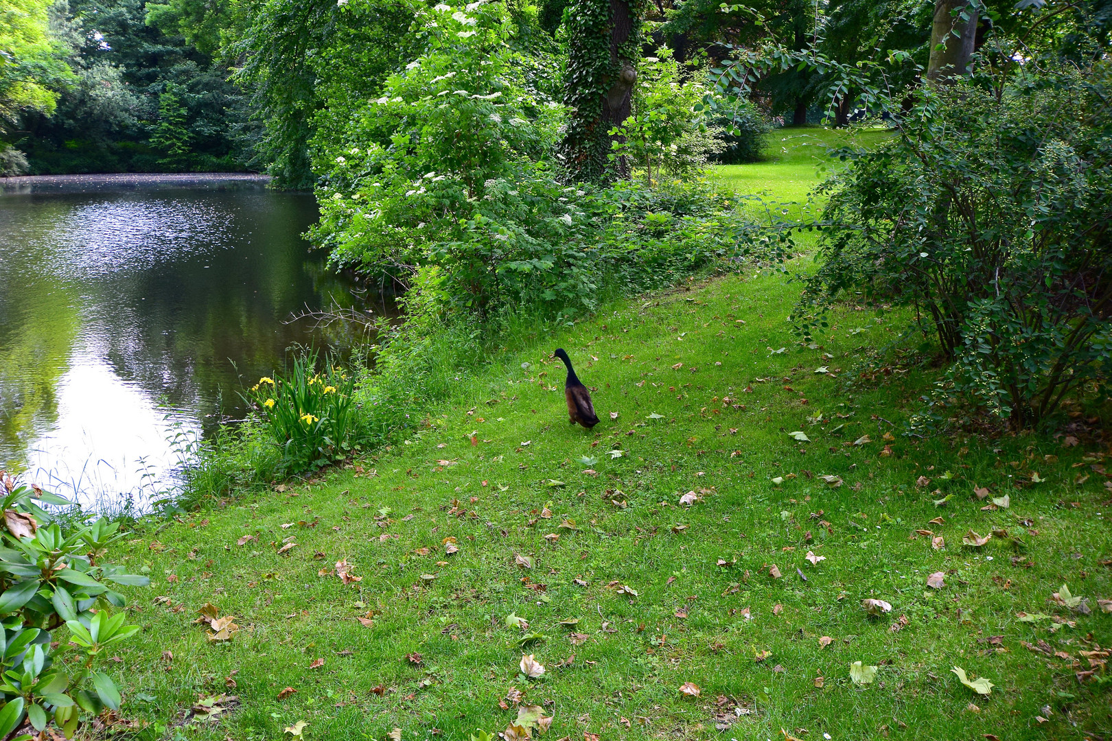 Spazieren im Schlosspark III