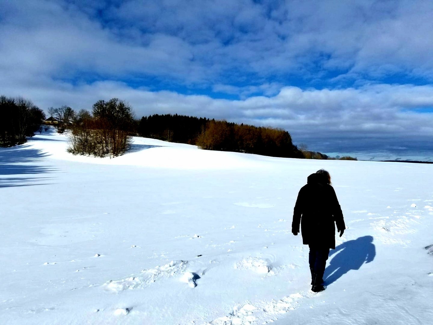 Spazieren im Schnee