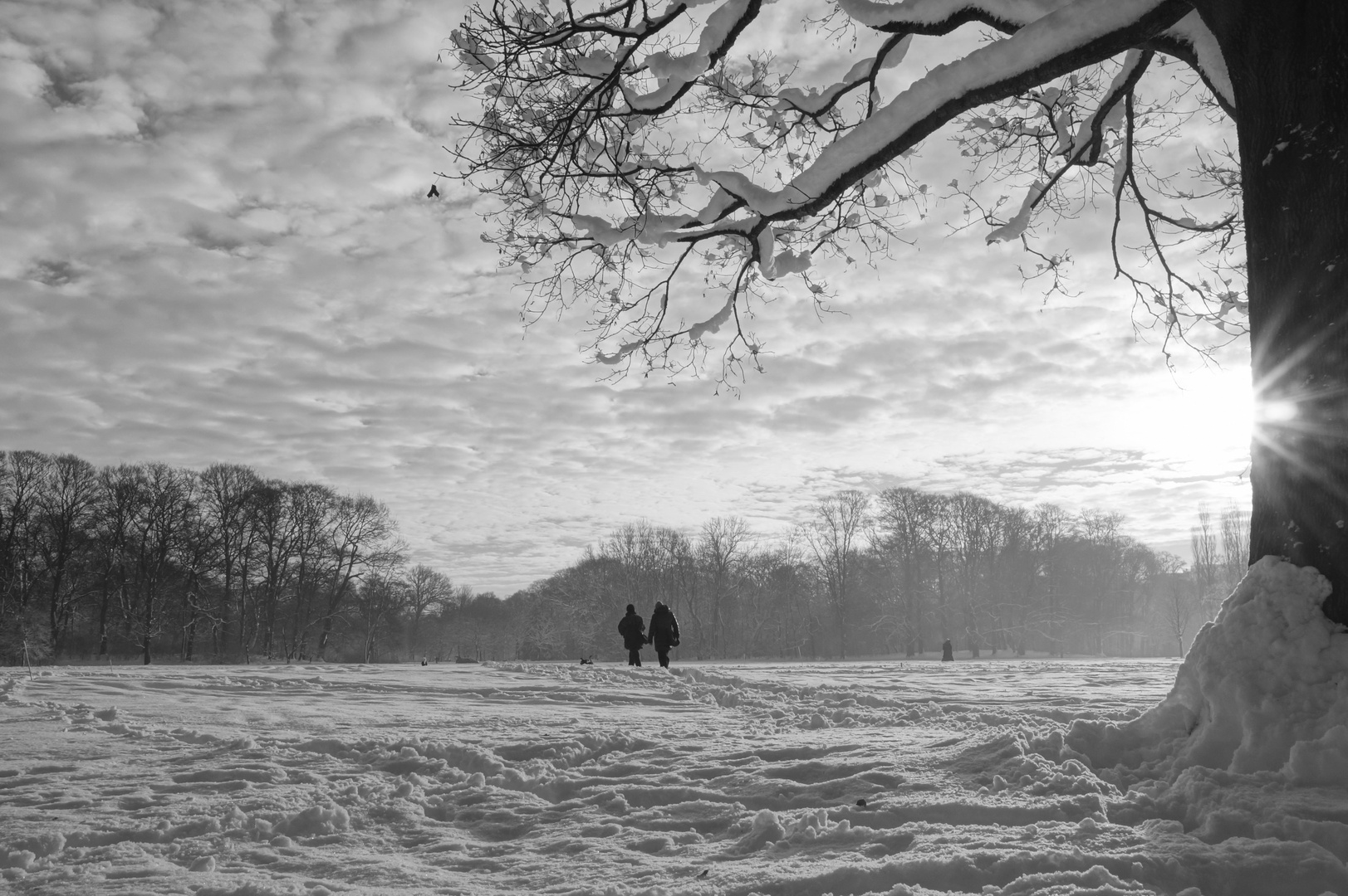 Spazieren im Schnee