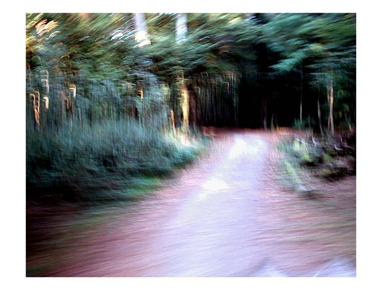 -spazieren im Wald- von Mareike Uhlmann