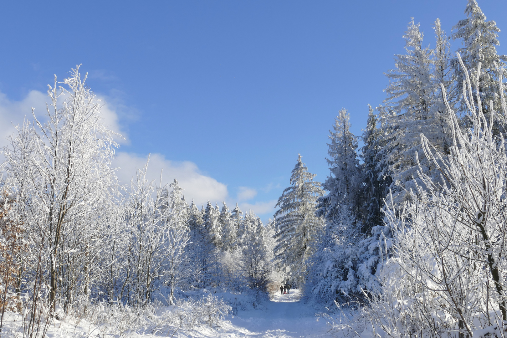 ...spazieren im Winterwald...