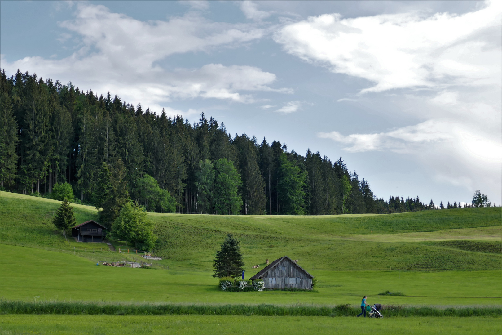 spazieren unterm föhnhimmel