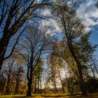 Spazierengehen n im Park