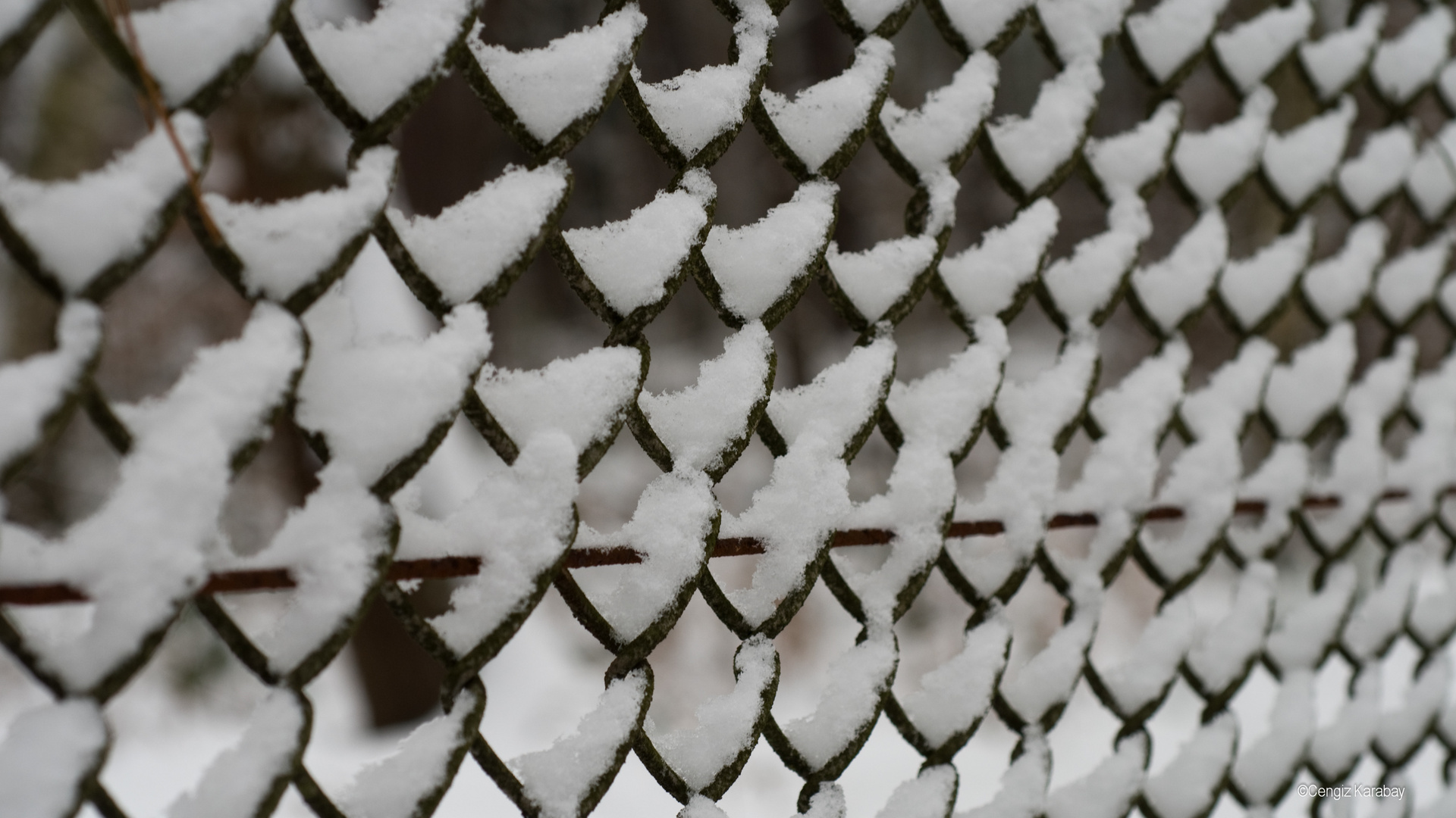 Spaziergabg im Winter