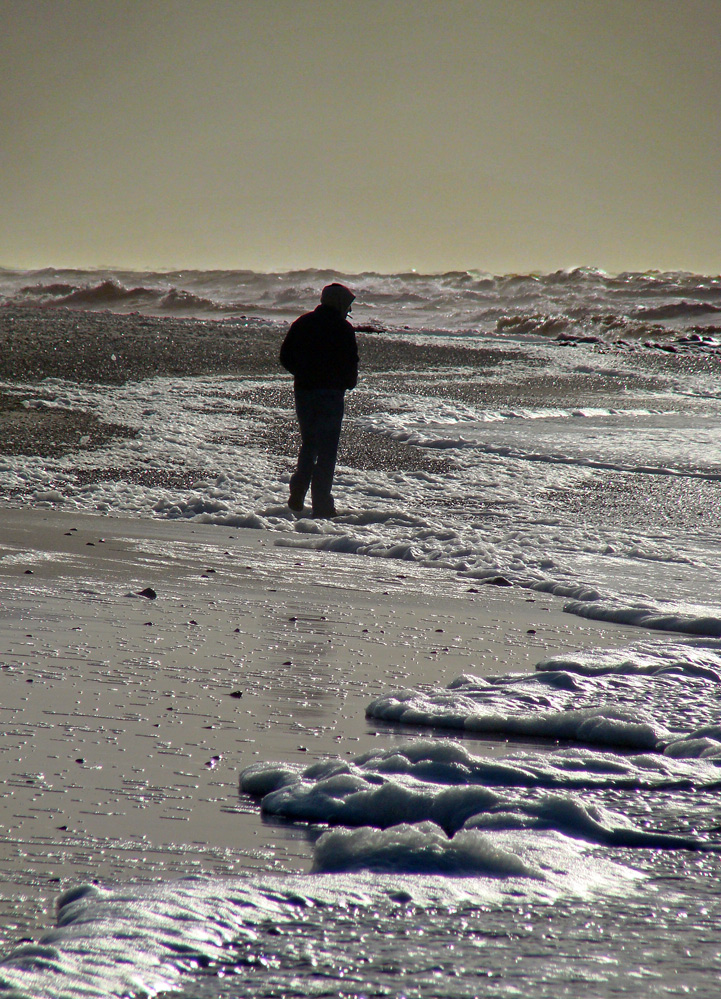 ...Spaziergängen am Strand