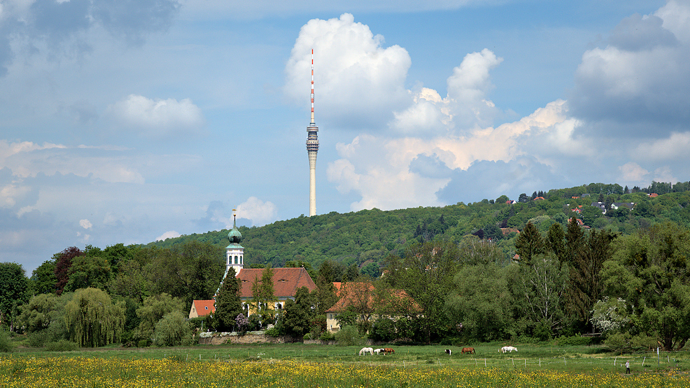 Spaziergänger