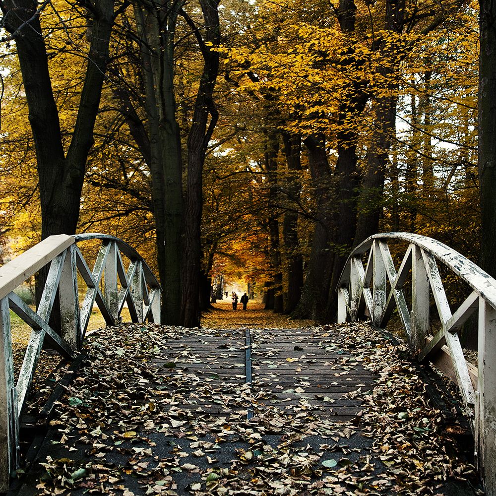 Spaziergänger